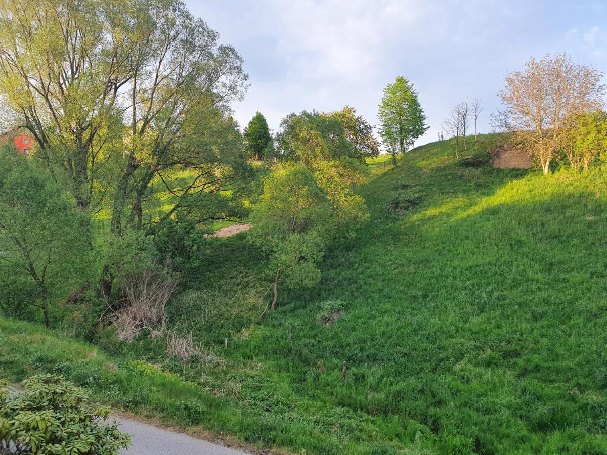 Fewo-Hierundjetzt Lichtenhain Bei Sebnitz Am Malerweg Exterior foto