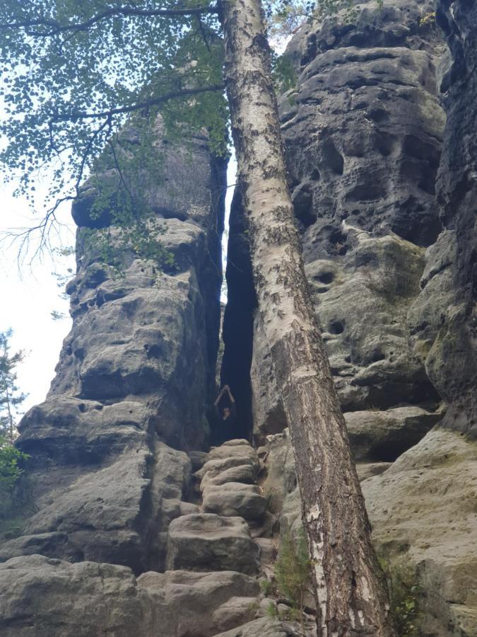Fewo-Hierundjetzt Lichtenhain Bei Sebnitz Am Malerweg Exterior foto